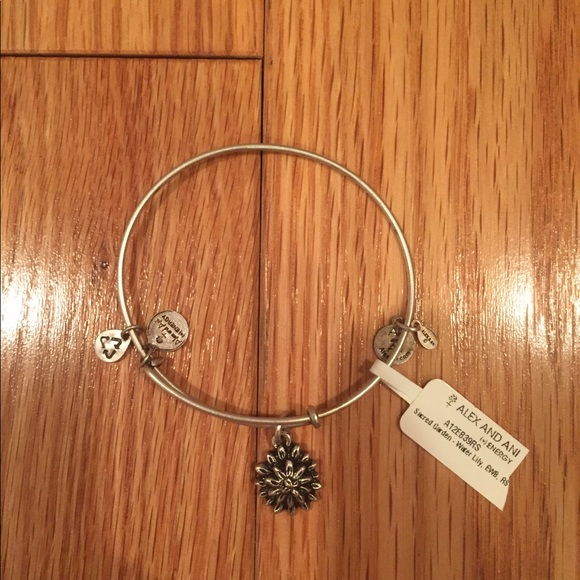 alex and ani bracelet - Picture 1 of 1